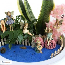 6pcs Miniature Fairies...